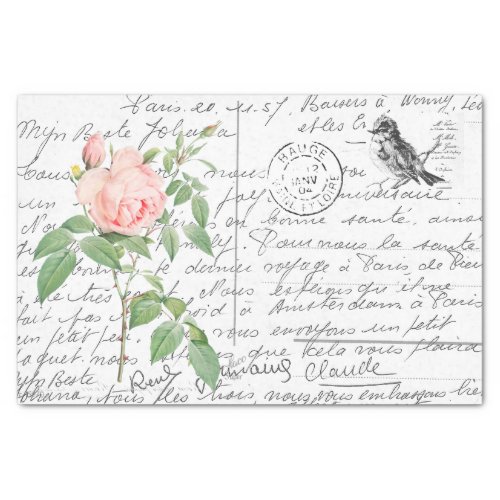 French Script Vintage Fragrant Rose Bird Postcard  Tissue Paper