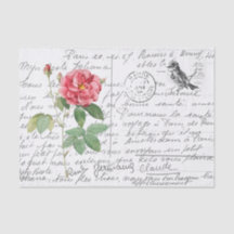 French Script Vintage French Rose Bird Postcard