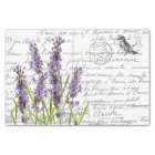 French Script Vintage Lavender Bird Postcard