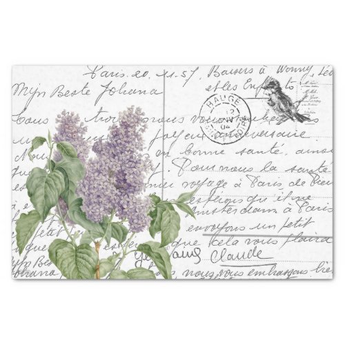 French Script Vintage Lilac Floral Bird Postcard Tissue Paper