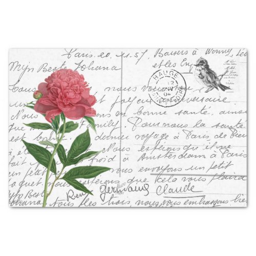 French Script Vintage Peony Bird Postcard Tissue Paper