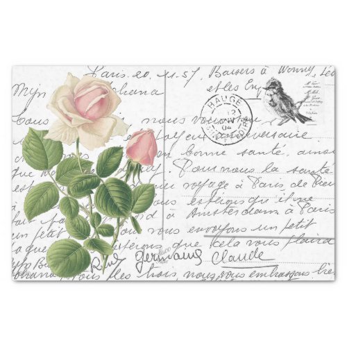 French Script Vintage Pink Tea Rose Bird Postcard Tissue Paper