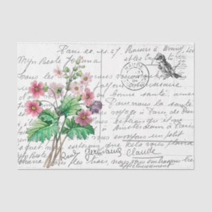 French Script Vintage Primrose Bird Postcard Tissue Paper