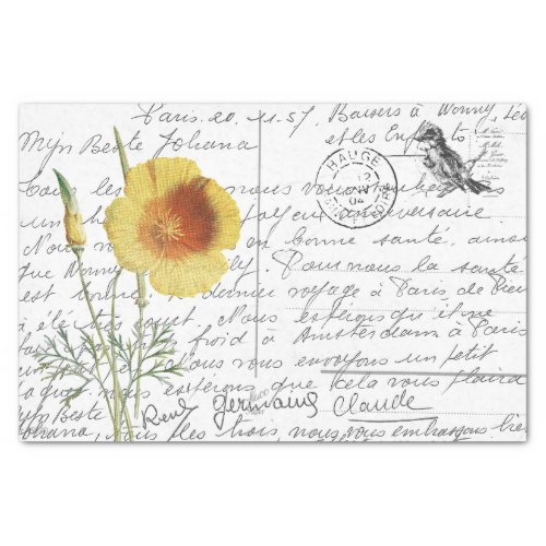 French Script Vintage Yellow Poppy Bird Postcard Tissue Paper