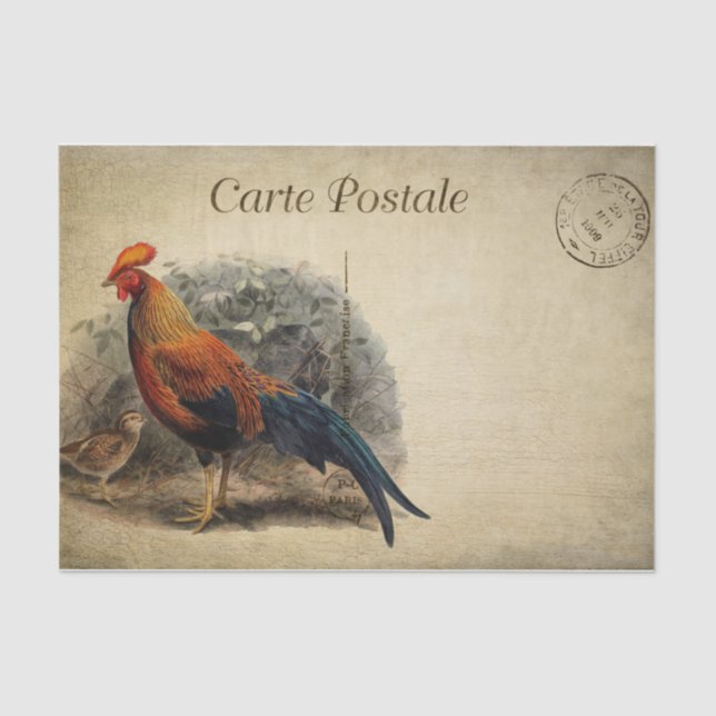 French Style Carte Postale Rooster Tissue Paper (Front)