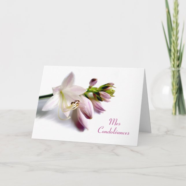 French Sympathy Mes Condoléances Hosta Flower Card (Front)