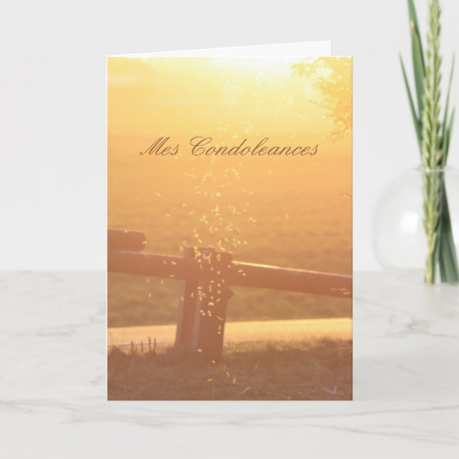 French Sympathy Sunlight Mosquito Card (Front)