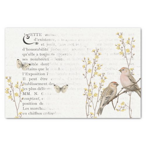 French Text Redpoll Bird Yellow Flower Decoupage   Tissue Paper