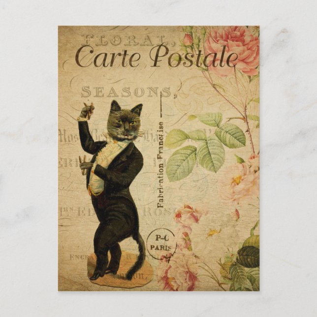 French Tuxedo Cat Postcard (Front)