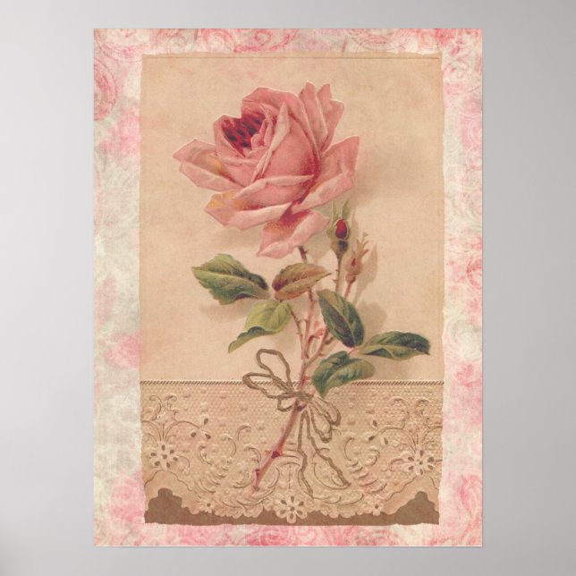 French Victorian Pink Rose Poster (Front)