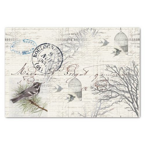 French Vintage Bird and Branch Tissue Paper