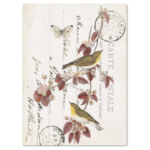 French Vintage Carte Postale Bird Butterfly Leaf   Tissue Paper