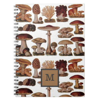 french vintage mushroom woodland botanical notebook
