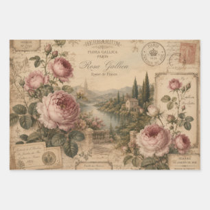 FRENCH VINTAGE ROSE HERBARIUM ANTIQUE BOTANICAL WRAPPING PAPER SHEETS
