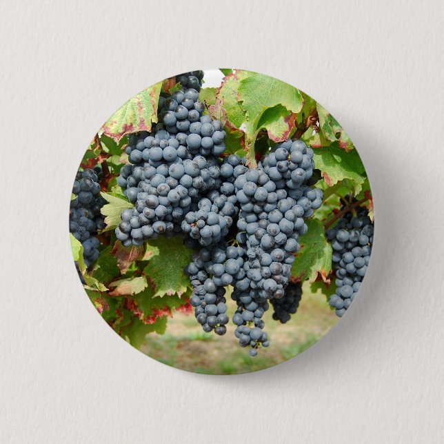 French Wine Grapes Button (Front)