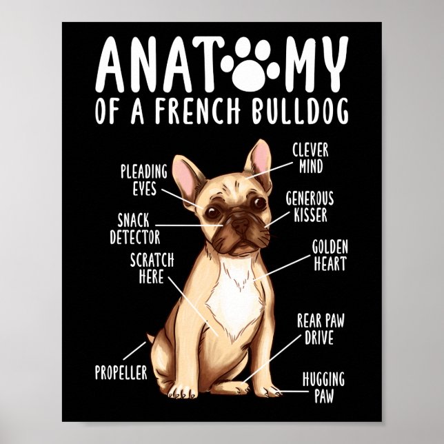 Frenchie  Anatomy Of A French Bulldog  Mom Dad Poster (Front)