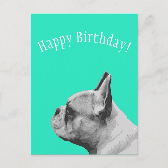Frenchie | Aqua colored Happy Birthday Postcard (Front)