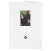 Frenchie by Robyn Feeley (Back)