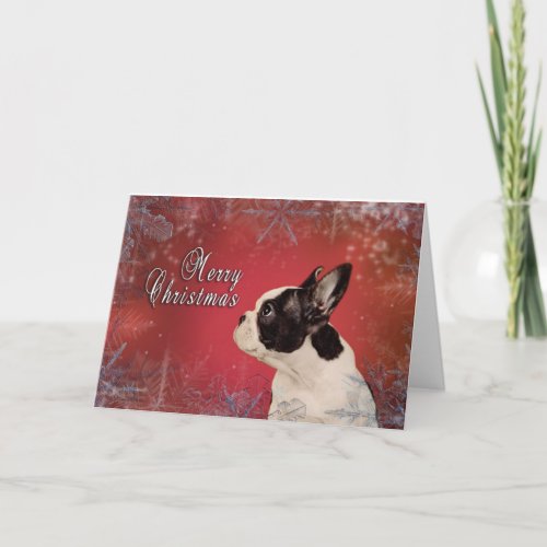 Frenchie Christmas card