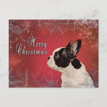 Frenchie Christmas Card by petsArt at Zazzle