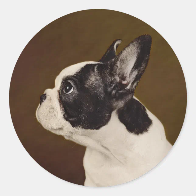 Round Frenchie Frenchie Classic Round Sticker | Zazzle