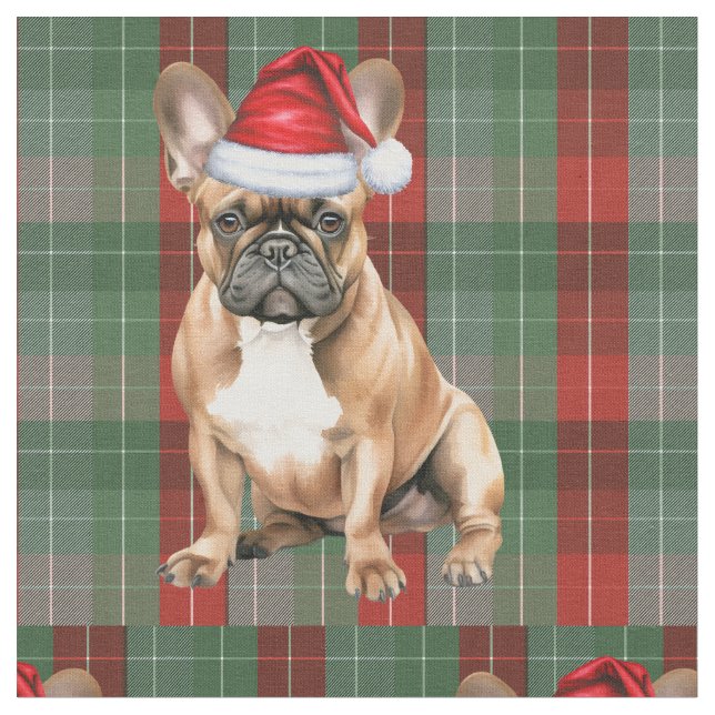 Frenchie Dog with a Red Green Plaid Holiday Fabric (Close Up)