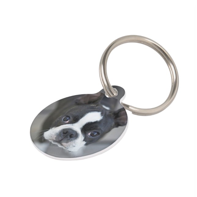 Frenchie French Bulldog Dog Cat Tag (Side)