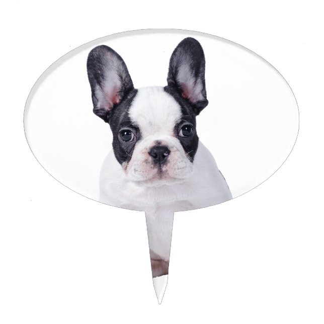 Frenchie - French bulldog puppy Cake Topper (Front)