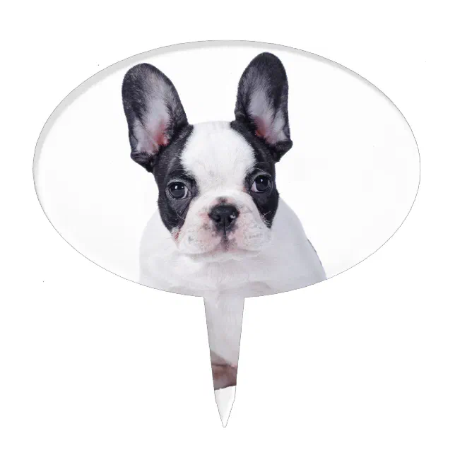 Frenchie cake outlet topper