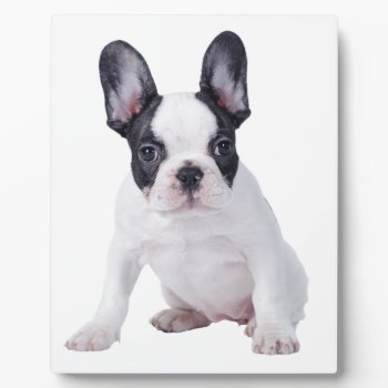 Frenchie - French Bulldog Puppy Plaque by petsArt at Zazzle