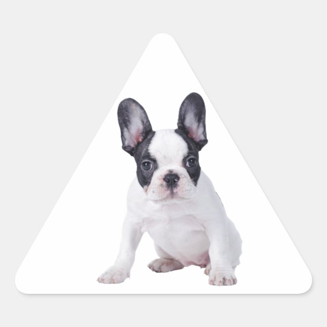 Frenchie - French bulldog puppy Triangle Sticker (Front)