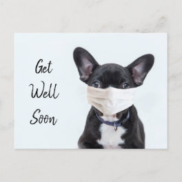 Frenchie in face mask get well postcard