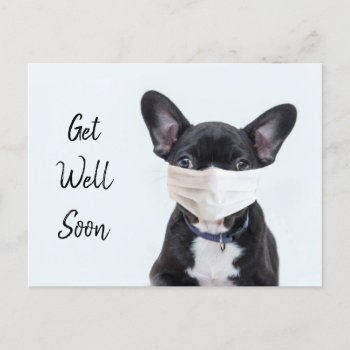 Frenchie In Face Mask Get Well Postcard by deemac1 at Zazzle