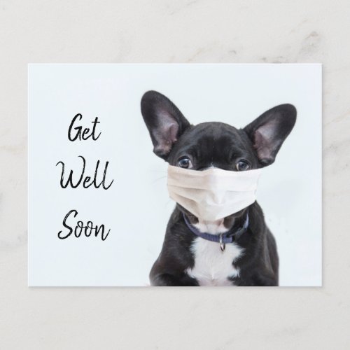 Frenchie in face mask get well postcard
