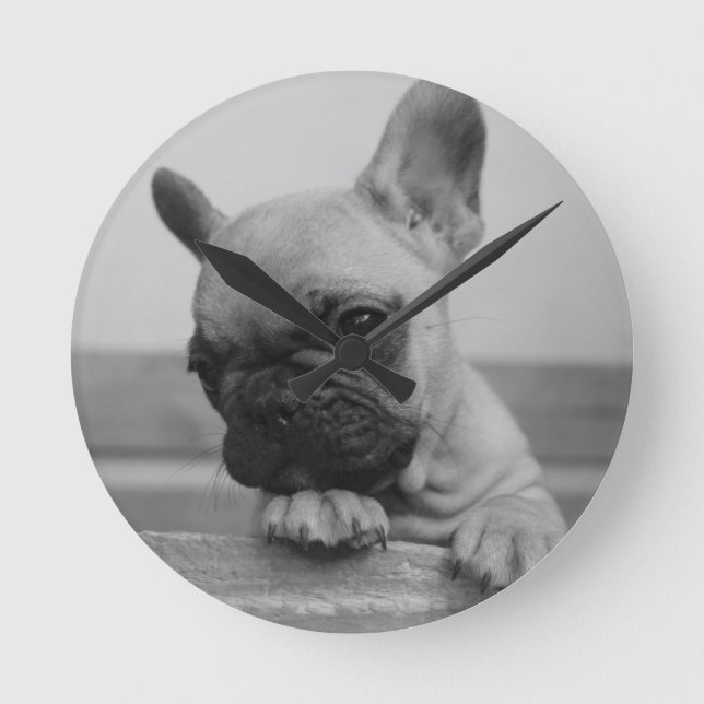 Frenchie puppy round clock (Front)