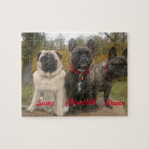 Frenchies & Pugs Jigsaw Puzzle