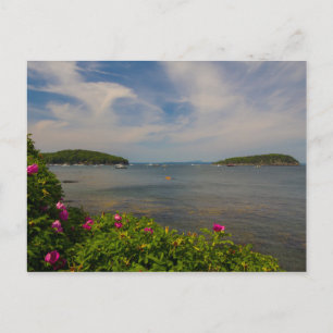 Frenchman Bay, Bar Harbor, Maine Postcard