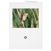 Frequent tweets card (Back)