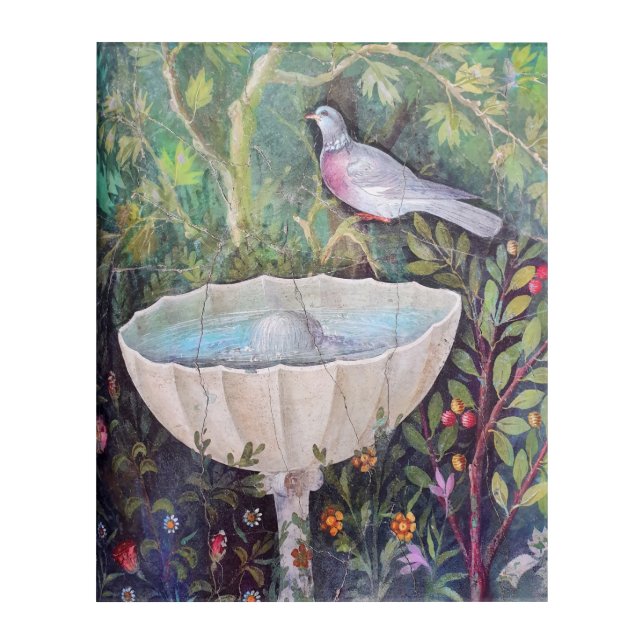 Fresco of Pigeon and a Fountain, Pompeii Acrylic Print (Front)