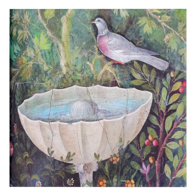 Fresco of Pigeon and a Fountain, Pompeii Acrylic Print (Front)