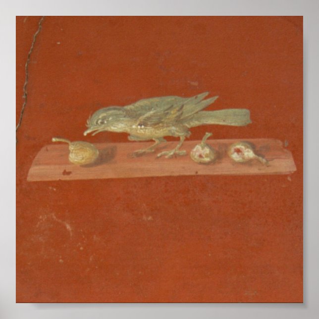 Fresco, Villa Oplontis Poster (Front)