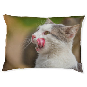 Fresh Air Cat Bed – Outdoor-Inspired Comfort