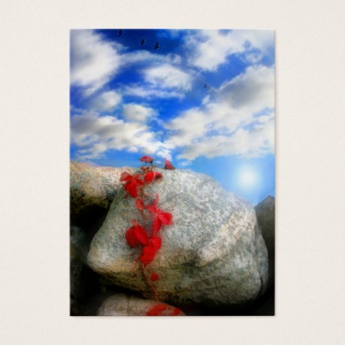 Fresh air , profile cards business card