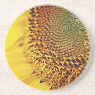 Fresh and Golden Sunflower Coaster