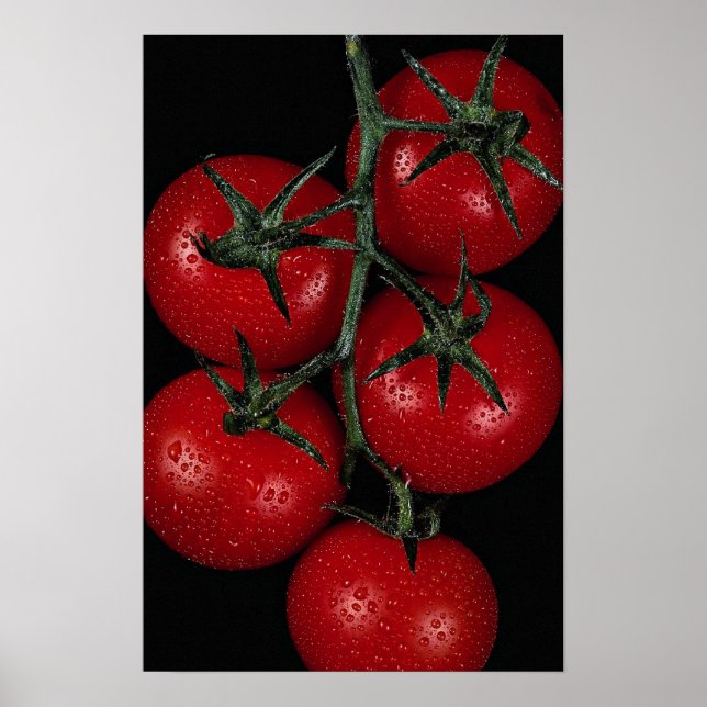 Fresh and juicy red tomatoes poster (Front)
