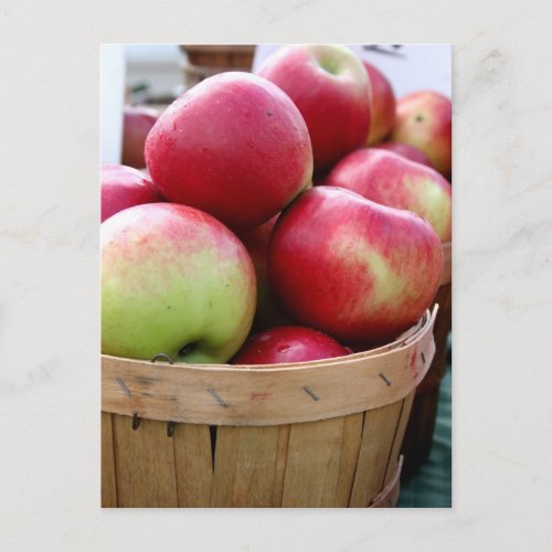 Fresh Apples in Basket at Farmers Market Postcard