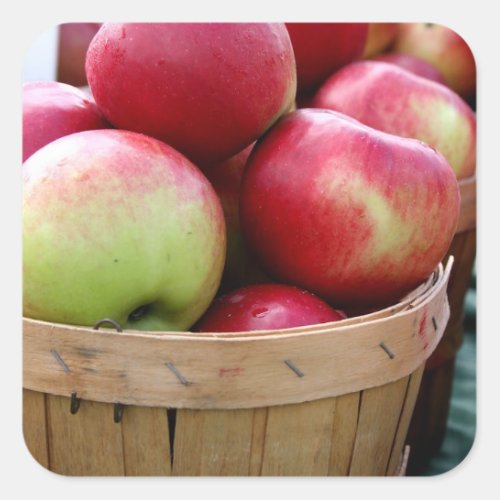 Fresh Apples in Basket at Farmers Market Square Sticker
