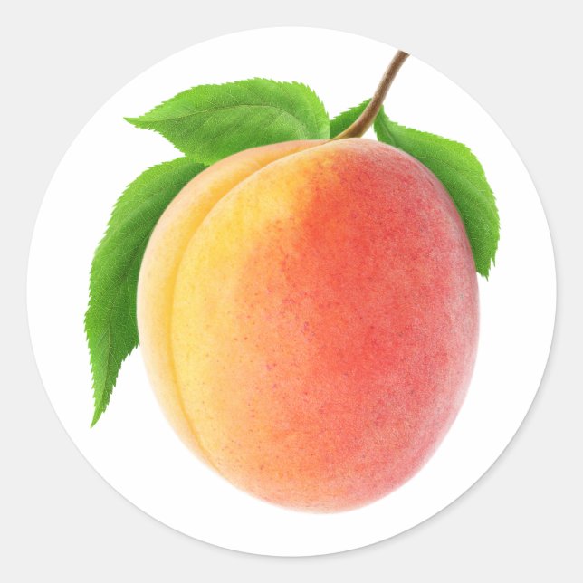 Fresh apricot classic round sticker (Front)