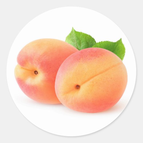 Fresh apricots classic round sticker