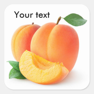 Fresh apricots square sticker